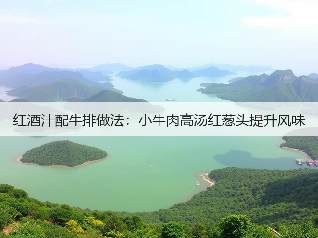 红酒汁配牛排做法:小牛肉高汤红葱头提升风味(图3) 红酒汁配牛排做法:小牛肉高汤红葱头提升风味(图3)