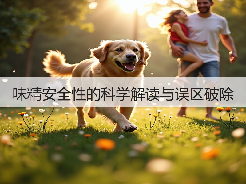 味精安全性的科学解读与误区破除