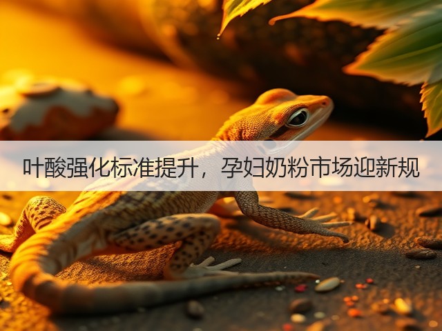 叶酸强化标准提升,孕妇奶粉市场迎新规(图3) 叶酸强化标准提升,孕妇奶粉市场迎新规(图3)