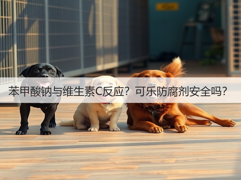 苯甲酸钠与维生素C反应？可乐防腐剂安全吗？