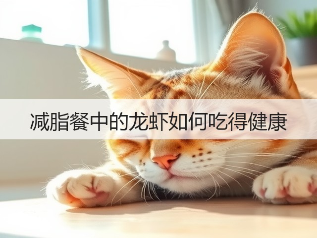 减脂餐中的龙虾如何吃得健康(图1) 减脂餐中的龙虾如何吃得健康(图1)