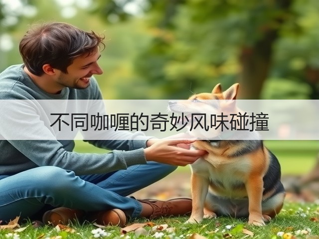 不同咖喱的奇妙风味碰撞(图1) 不同咖喱的奇妙风味碰撞(图1)