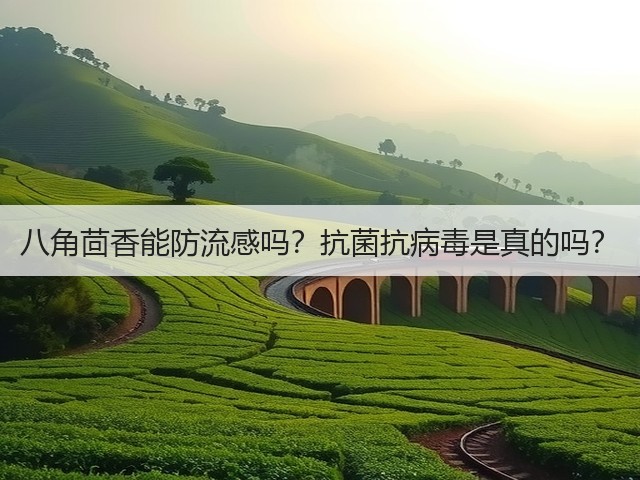 八角茴香能防流感吗?抗菌抗病毒是真的吗?(图1) 八角茴香能防流感吗?抗菌抗病毒是真的吗?(图1)