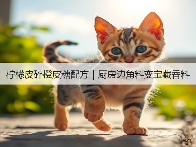 柠檬皮碎橙皮糖配方|厨房边角料变宝藏香料(图3) 柠檬皮碎橙皮糖配方|厨房边角料变宝藏香料(图3)