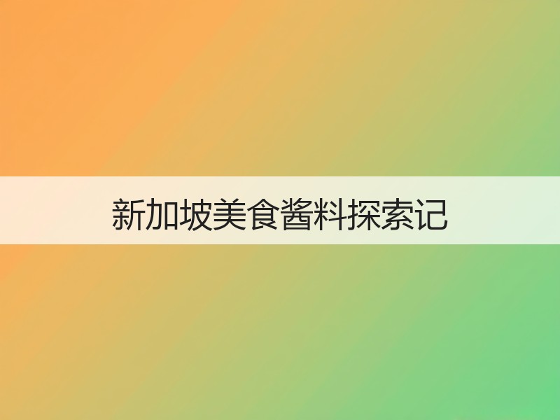 新加坡美食酱料探索记
