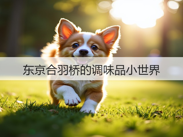 东京合羽桥的调味品小世界(图2) 东京合羽桥的调味品小世界(图2)