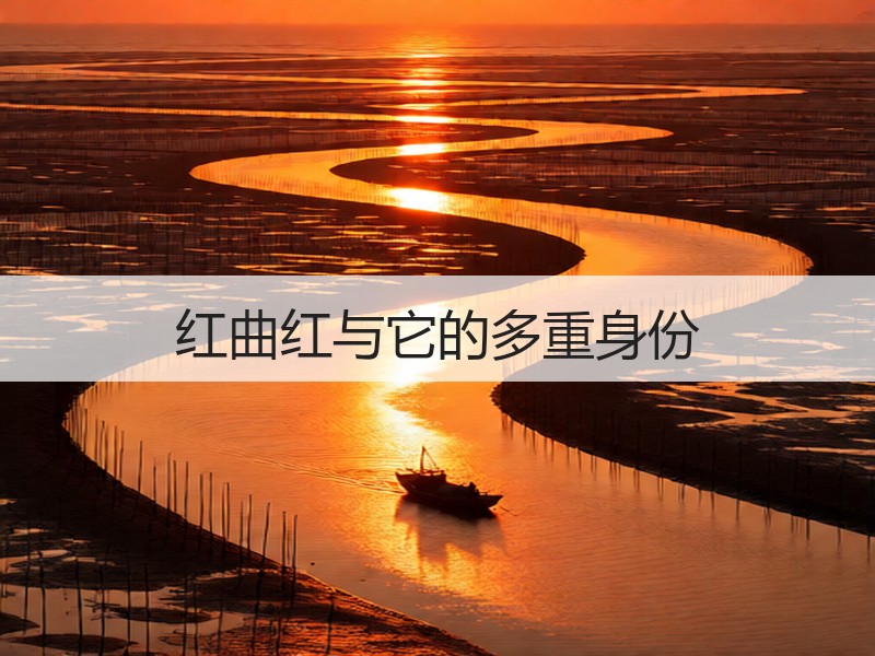 红曲红与它的多重身份