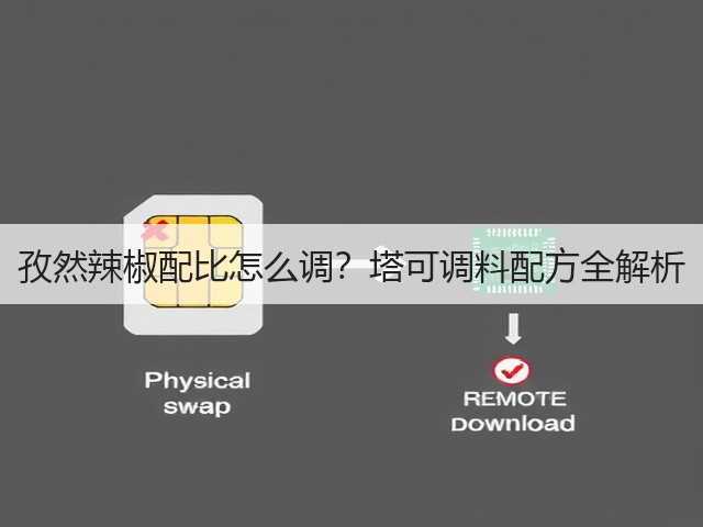 孜然辣椒配比怎么调?塔可调料配方全解析(图3) 孜然辣椒配比怎么调?塔可调料配方全解析(图3)