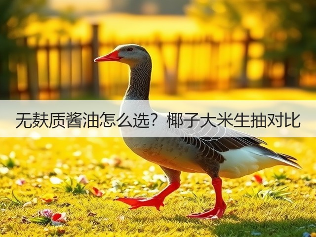 无麸质酱油怎么选?椰子大米生抽对比(图3) 无麸质酱油怎么选?椰子大米生抽对比(图3)