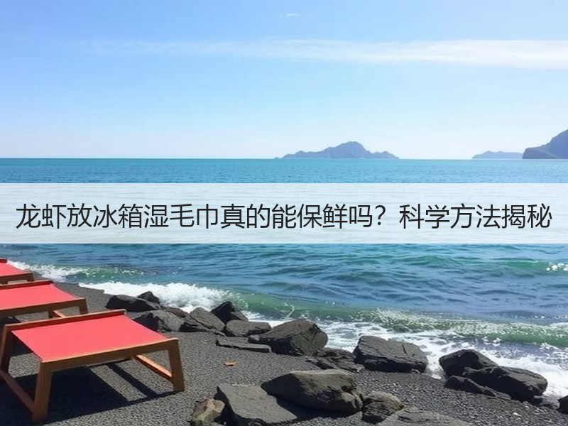 龙虾放冰箱湿毛巾真的能保鲜吗？科学方法揭秘