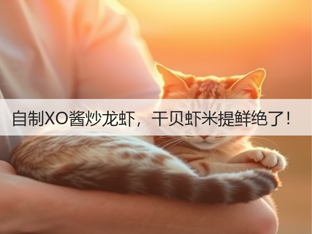 自制XO酱炒龙虾,干贝虾米提鲜绝了!(图1) 自制XO酱炒龙虾,干贝虾米提鲜绝了!(图1)