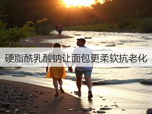 硬脂酰乳酸钠让面包更柔软抗老化(图3) 硬脂酰乳酸钠让面包更柔软抗老化(图3)