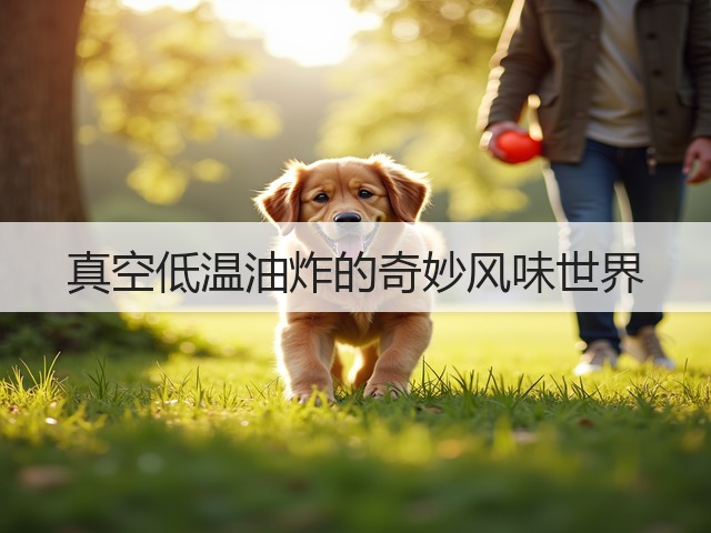 真空低温油炸的奇妙风味世界(图3) 真空低温油炸的奇妙风味世界(图3)