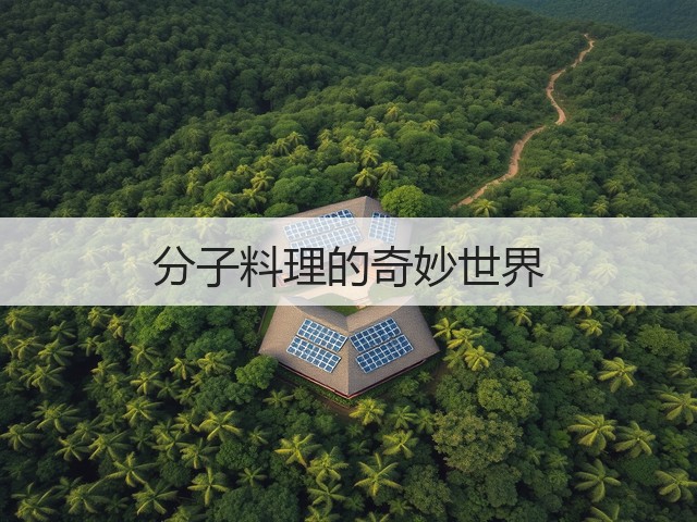 分子料理的奇妙世界(图1) 分子料理的奇妙世界(图1)
