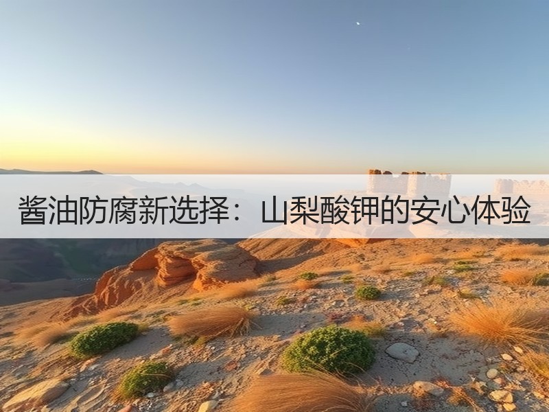 酱油防腐新选择：山梨酸钾的安心体验