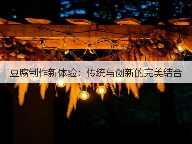 豆腐制作新体验:传统与创新的完美结合(图2) 豆腐制作新体验:传统与创新的完美结合(图2)