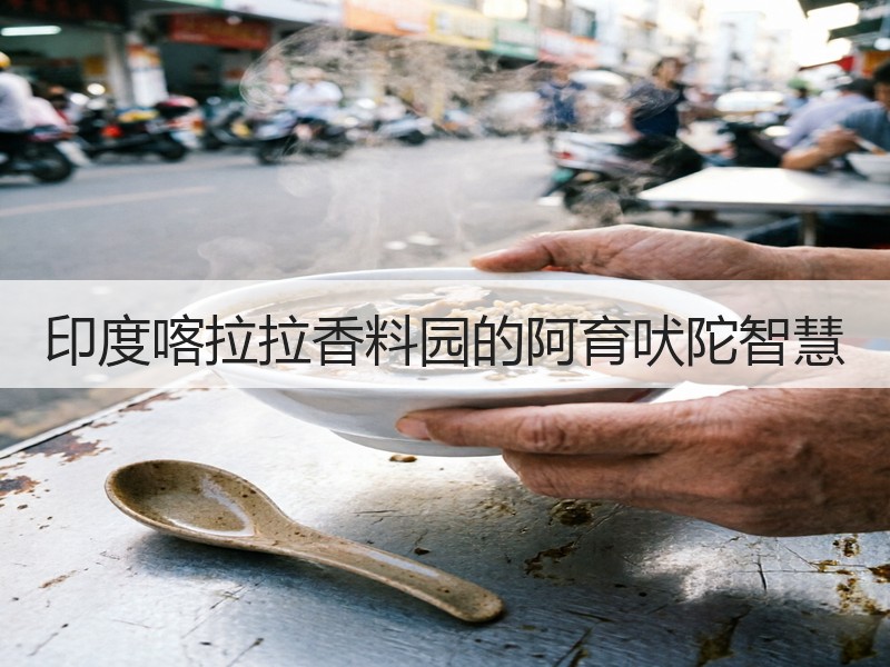 印度喀拉拉香料园的阿育吠陀智慧