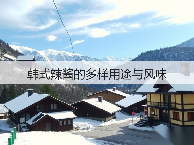 韩式辣酱的多样用途与风味