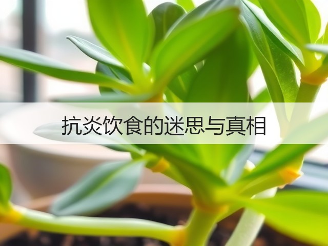 抗炎饮食的迷思与真相(图1) 抗炎饮食的迷思与真相(图1)