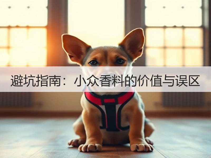 避坑指南：小众香料的价值与误区