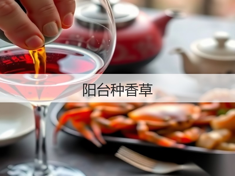 阳台种香草