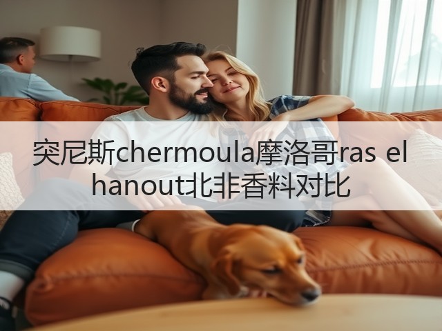 突尼斯chermoula摩洛哥ras el hanout北非香料对比(图2) 突尼斯chermoula摩洛哥ras el hanout北非香料对比(图2)
