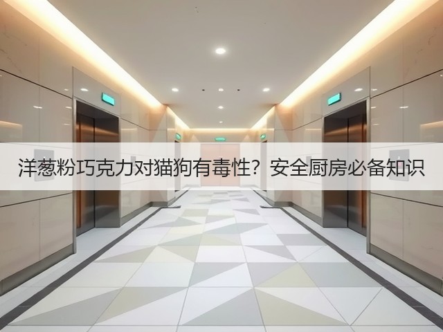洋葱粉巧克力对猫狗有毒性?安全厨房必备知识(图1) 洋葱粉巧克力对猫狗有毒性?安全厨房必备知识(图1)