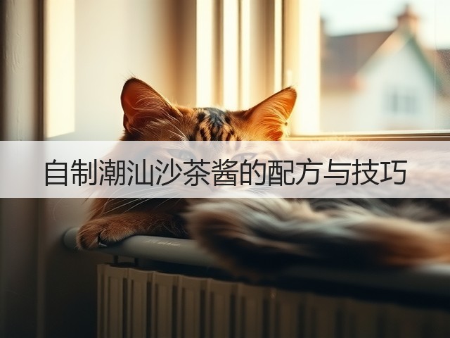 自制潮汕沙茶酱的配方与技巧(图3) 自制潮汕沙茶酱的配方与技巧(图3)