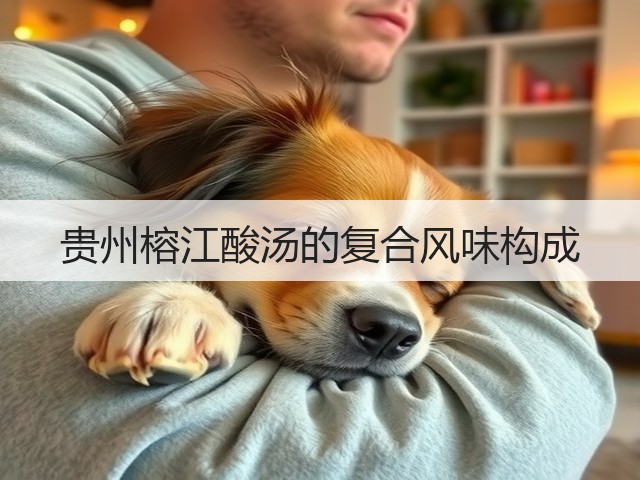 贵州榕江酸汤的复合风味构成(图2) 贵州榕江酸汤的复合风味构成(图2)