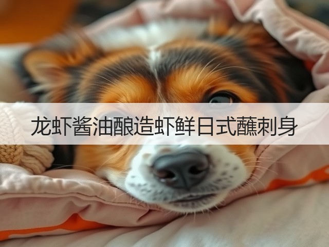 龙虾酱油酿造虾鲜日式蘸刺身(图3) 龙虾酱油酿造虾鲜日式蘸刺身(图3)