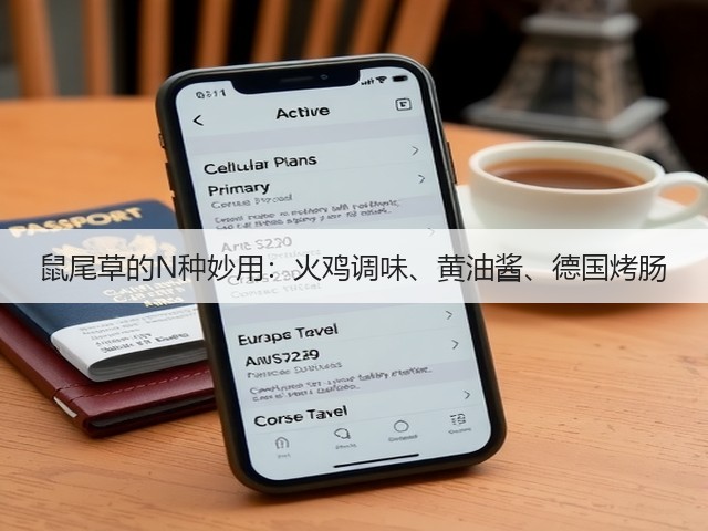 鼠尾草的N种妙用:火鸡调味、黄油酱、德国烤肠(图1) 鼠尾草的N种妙用:火鸡调味、黄油酱、德国烤肠(图1)