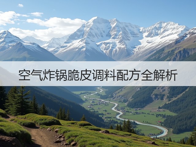 空气炸锅脆皮调料配方全解析(图3) 空气炸锅脆皮调料配方全解析(图3)