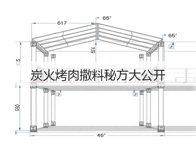 炭火烤肉撒料秘方大公开(图3) 炭火烤肉撒料秘方大公开(图3)