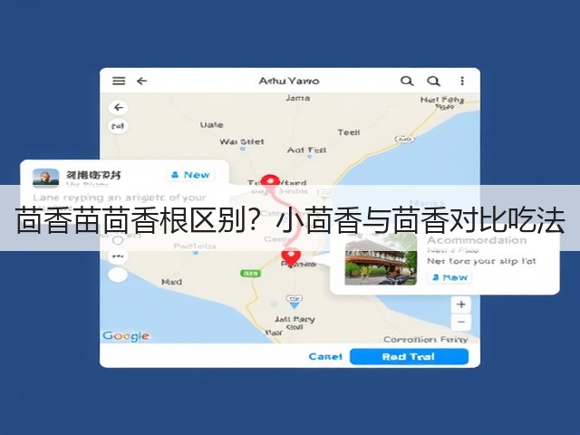 茴香苗茴香根区别?小茴香与茴香对比吃法(图2) 茴香苗茴香根区别?小茴香与茴香对比吃法(图2)