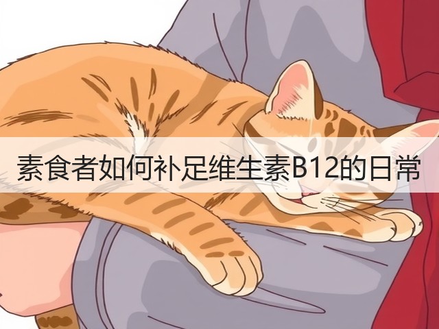 素食者如何补足维生素B12的日常(图2) 素食者如何补足维生素B12的日常(图2)