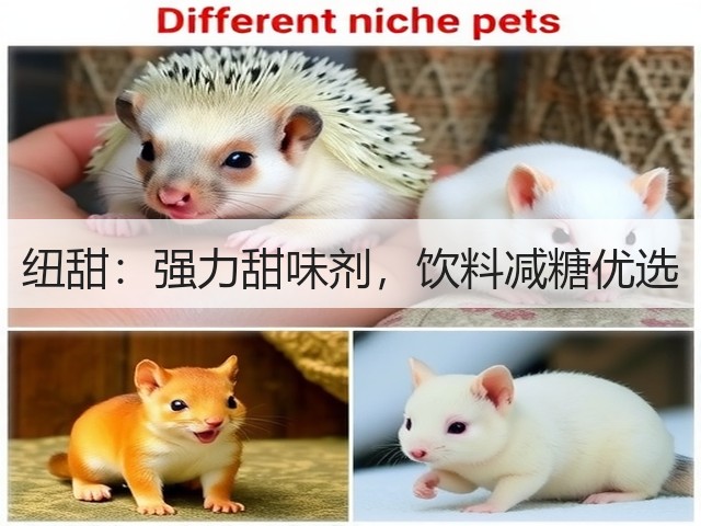 纽甜:强力甜味剂,饮料减糖优选(图1) 纽甜:强力甜味剂,饮料减糖优选(图1)
