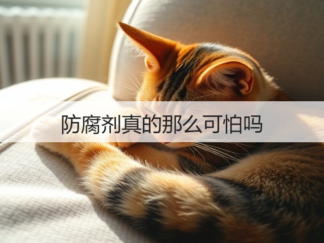 防腐剂真的那么可怕吗(图2)
