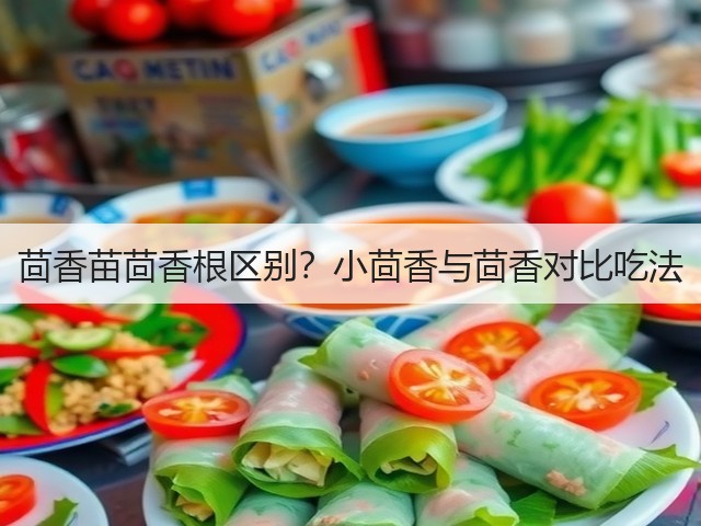 茴香苗茴香根区别?小茴香与茴香对比吃法(图1) 茴香苗茴香根区别?小茴香与茴香对比吃法(图1)