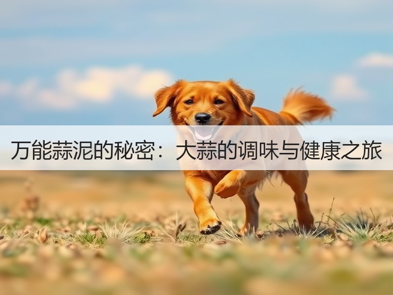 万能蒜泥的秘密：大蒜的调味与健康之旅