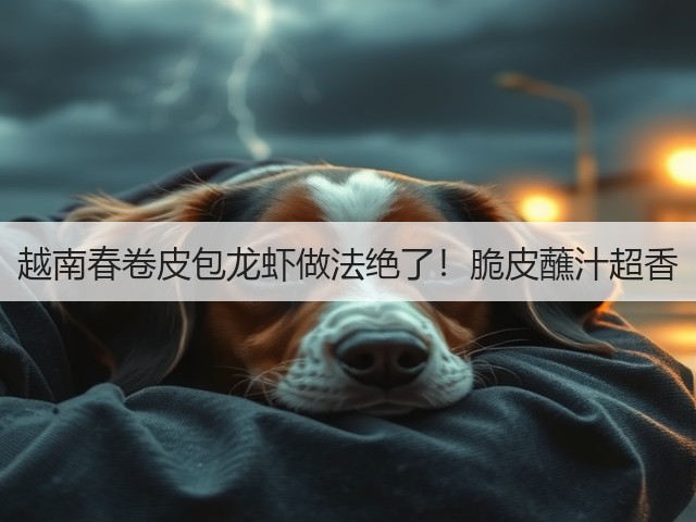 越南春卷皮包龙虾做法绝了!脆皮蘸汁超香(图1) 越南春卷皮包龙虾做法绝了!脆皮蘸汁超香(图1)