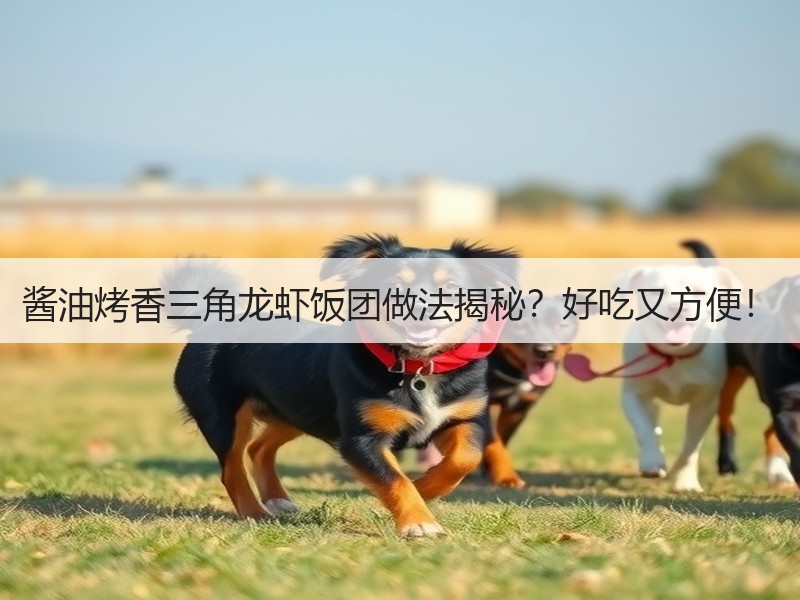 酱油烤香三角龙虾饭团做法揭秘？好吃又方便！