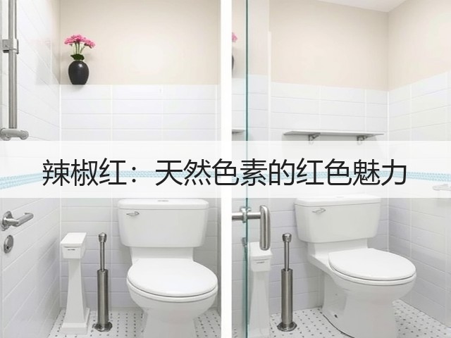 辣椒红:天然色素的红色魅力(图2) 辣椒红:天然色素的红色魅力(图2)