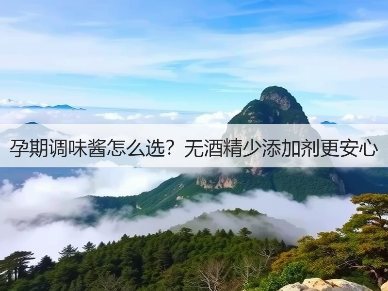 孕期调味酱怎么选？无酒精少添加剂更安心