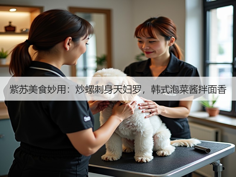 紫苏美食妙用：炒螺刺身天妇罗，韩式泡菜酱拌面香