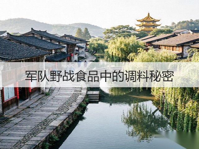军队野战食品中的调料秘密(图3)