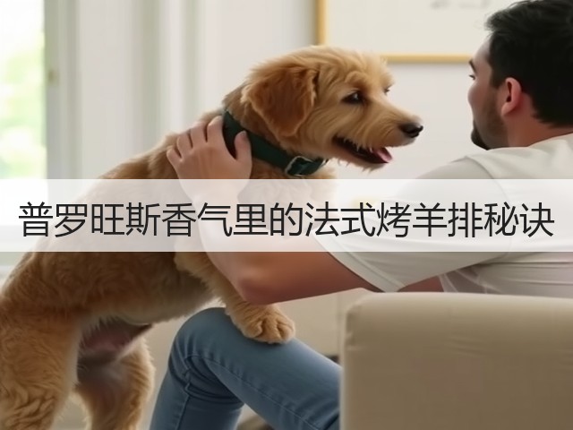 普罗旺斯香气里的法式烤羊排秘诀(图3) 普罗旺斯香气里的法式烤羊排秘诀(图3)