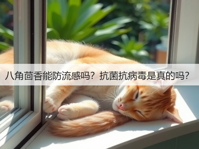 八角茴香能防流感吗？抗菌抗病毒是真的吗？