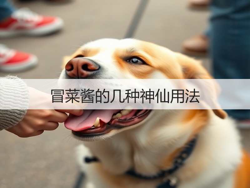 冒菜酱的几种神仙用法