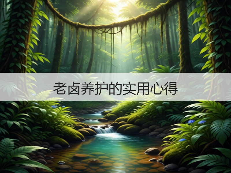 老卤养护的实用心得