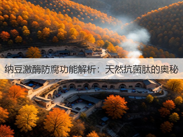 纳豆激酶防腐功能解析:天然抗菌肽的奥秘(图2) 纳豆激酶防腐功能解析:天然抗菌肽的奥秘(图2)